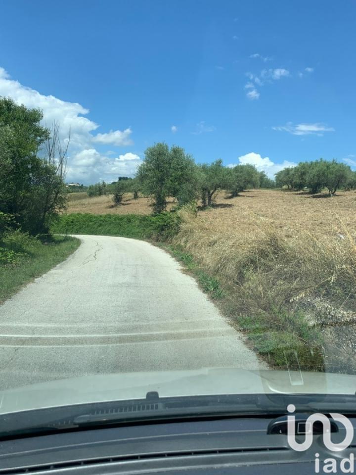 immagine annuncio 10 di 12