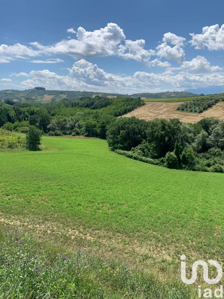 immagine annuncio 8 di 12