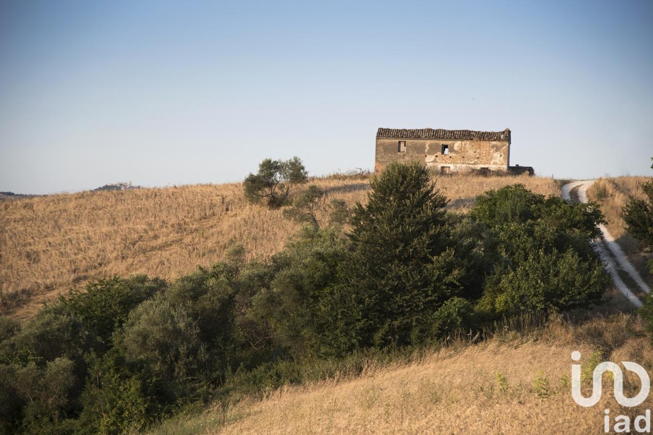 immagine annuncio 1 di 6