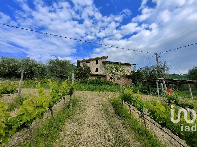 Country house or cottage in Strada Piane Tronto, Controguerra - Photo 1