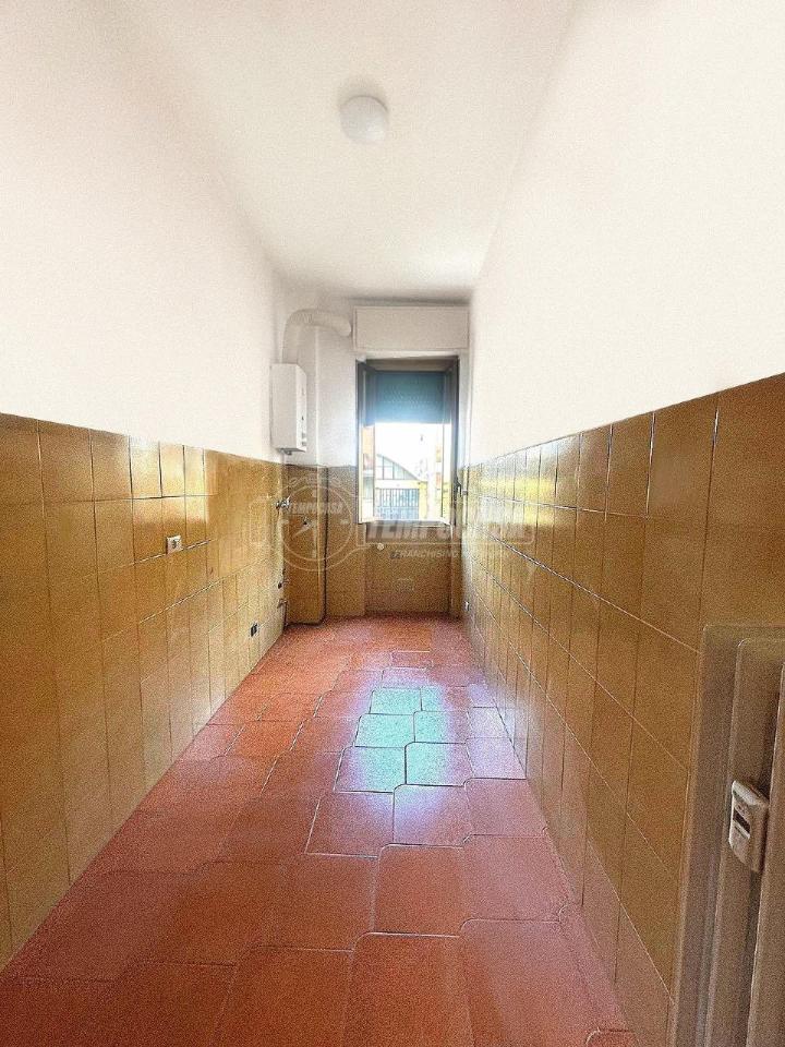 immagine annuncio 2 di 8