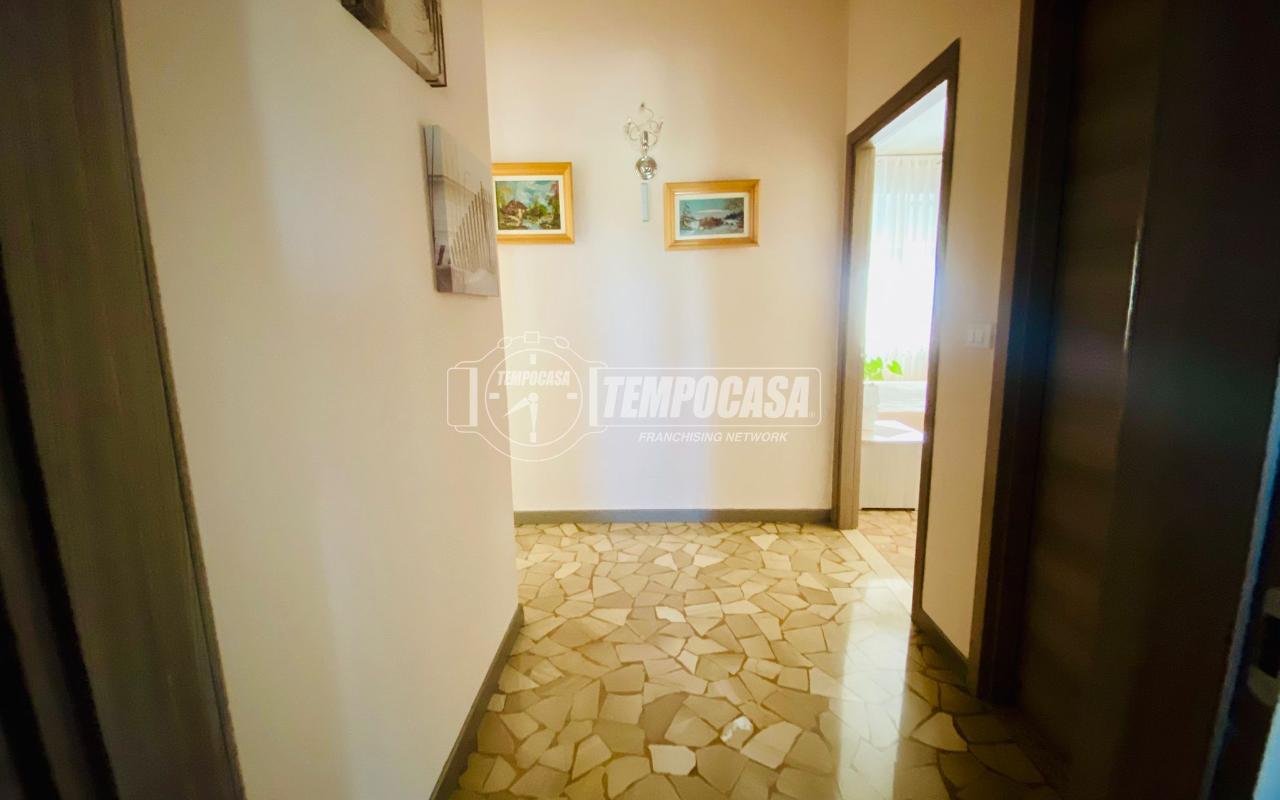 immagine annuncio 9 di 14