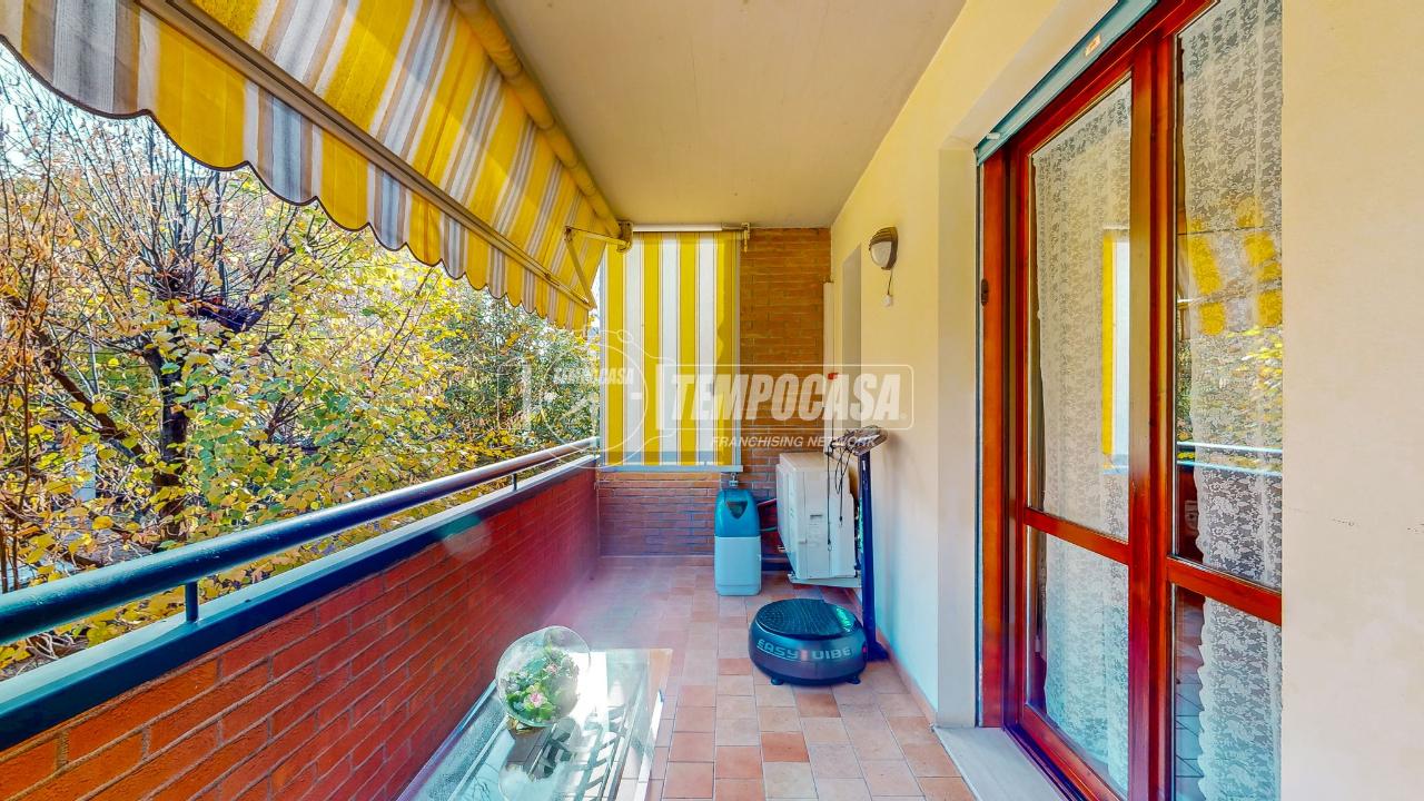 immagine annuncio 12 di 14