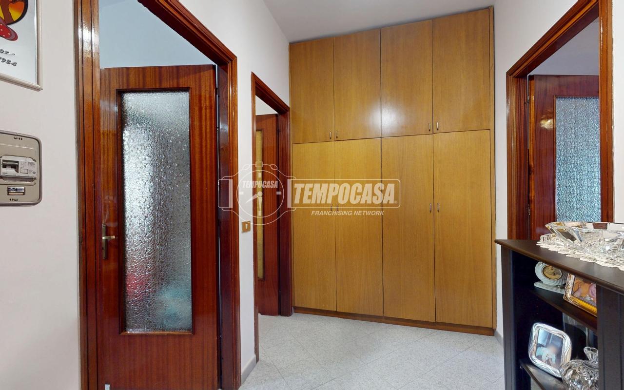 immagine annuncio 6 di 14