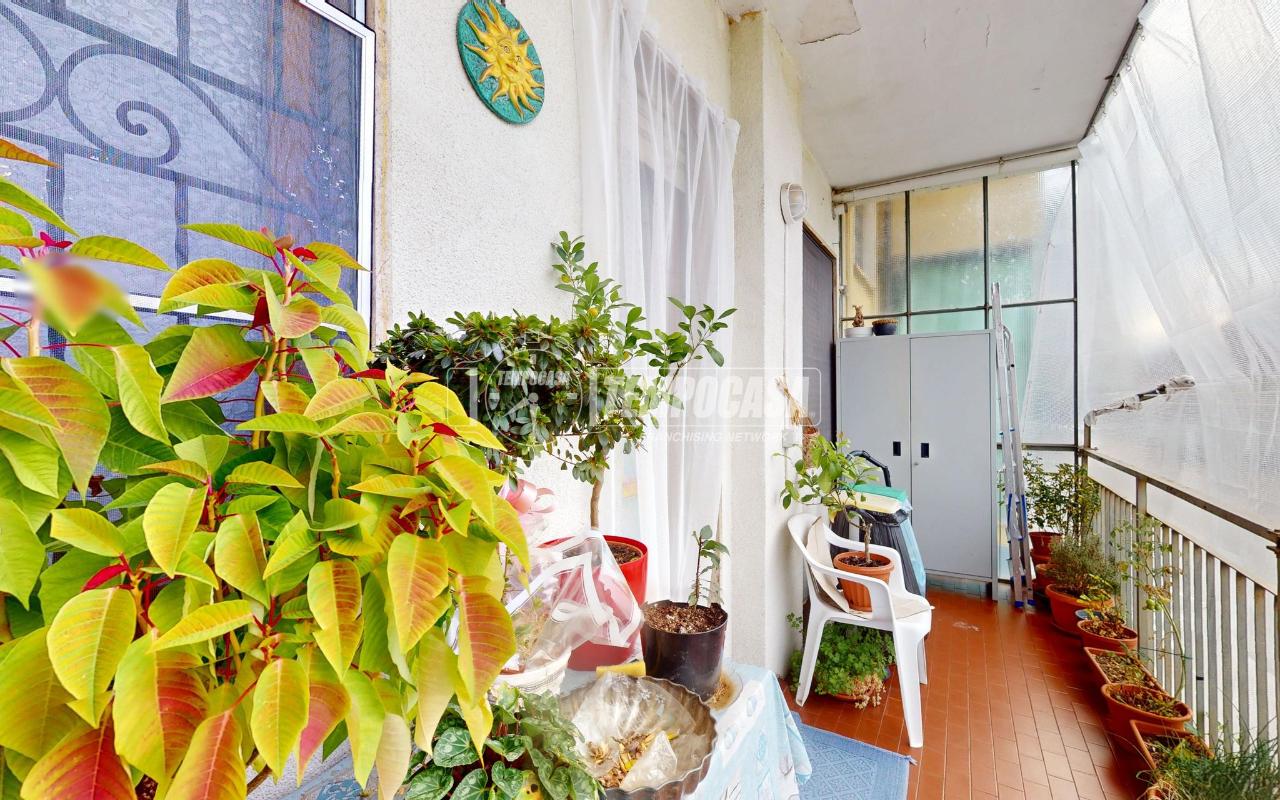 immagine annuncio 2 di 14