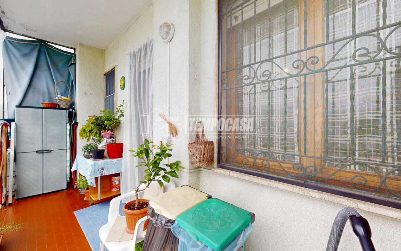 immagine annuncio 5 di 14