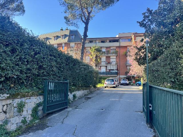 Boxen, Avellino - Foto 1