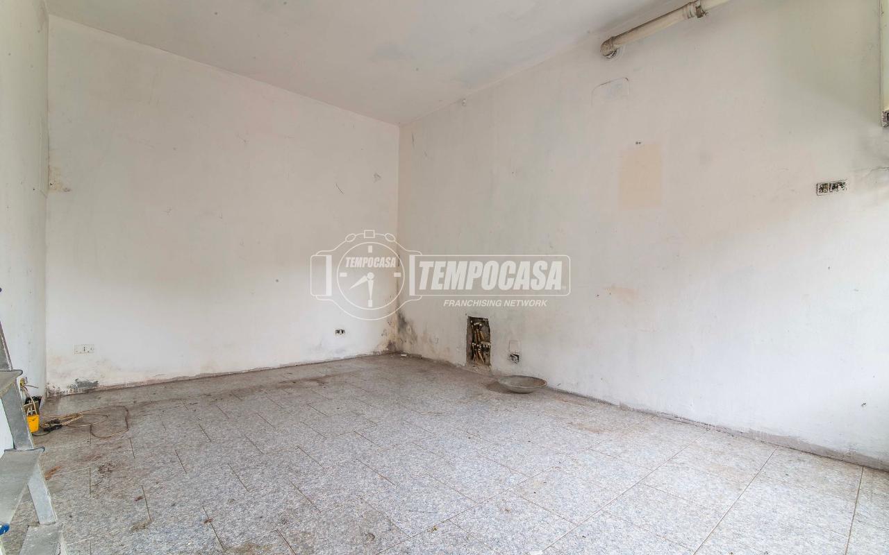 immagine annuncio 7 di 14