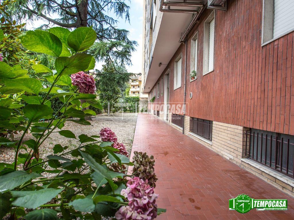 immagine annuncio 3 di 6