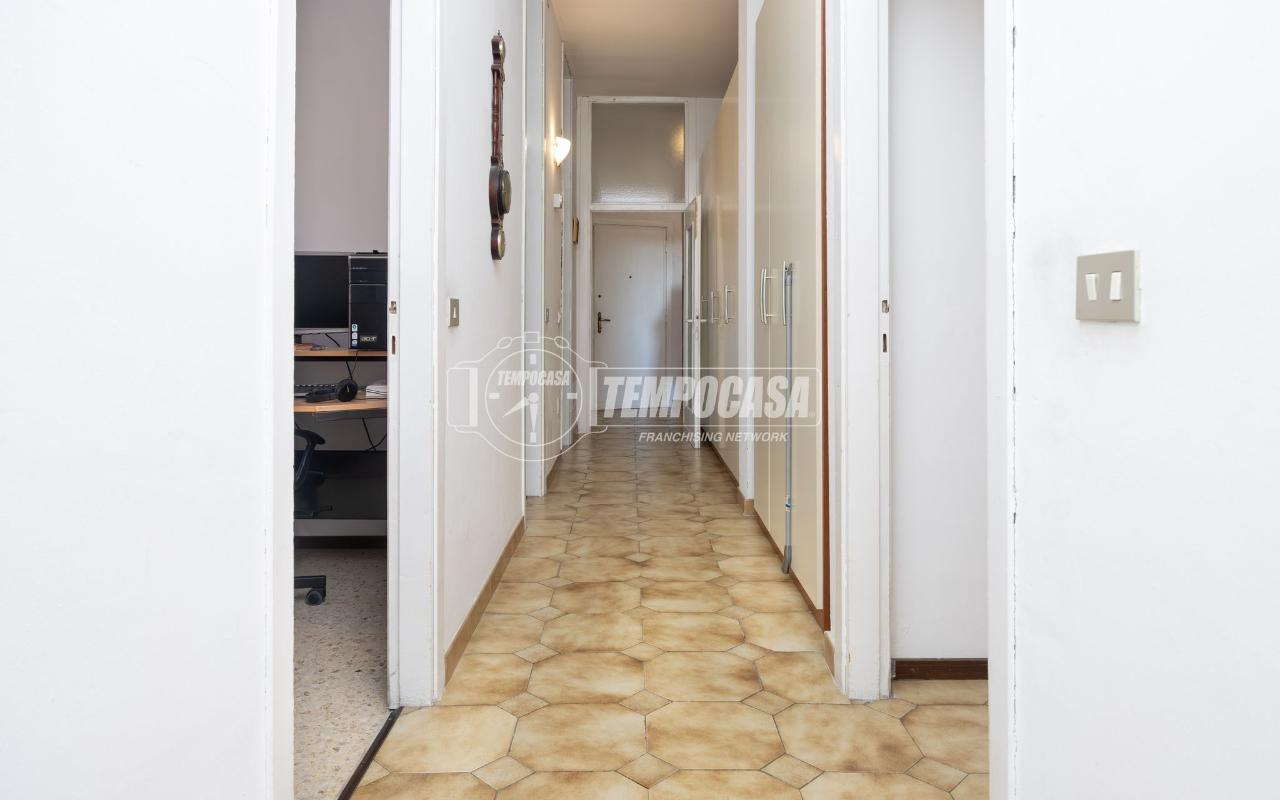 immagine annuncio 9 di 14