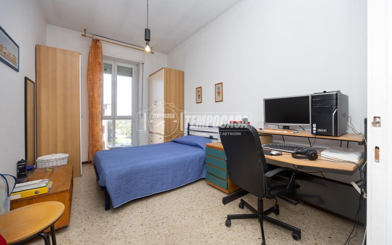 immagine annuncio 7 di 14