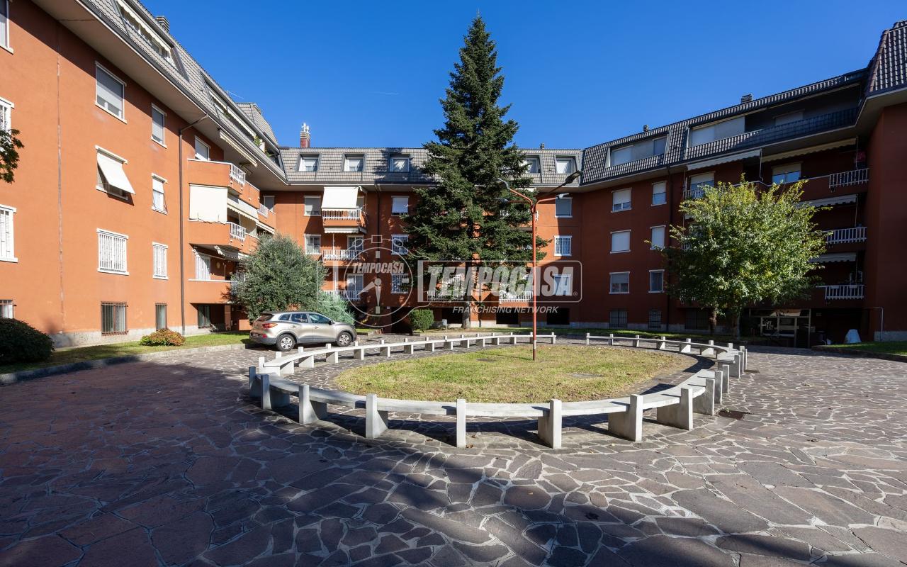 immagine annuncio 2 di 14