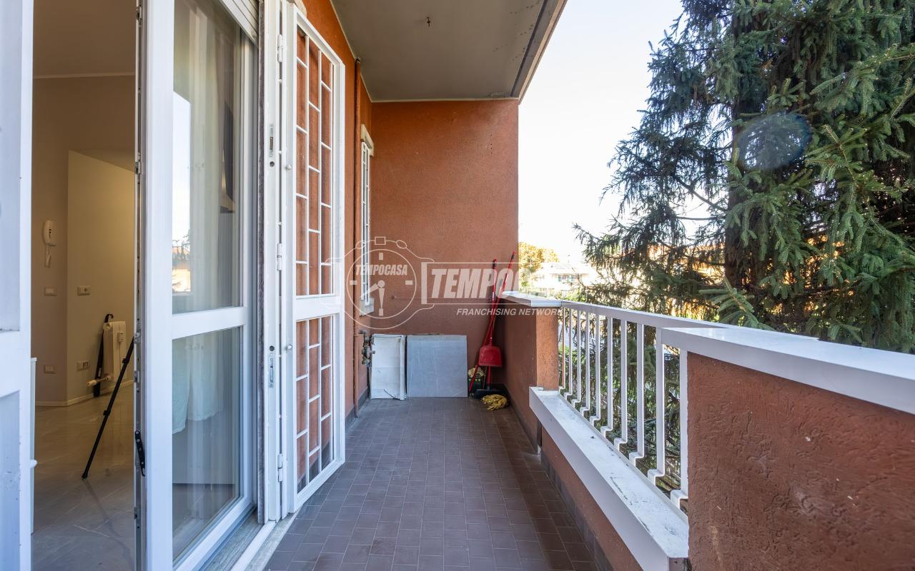 immagine annuncio 3 di 14