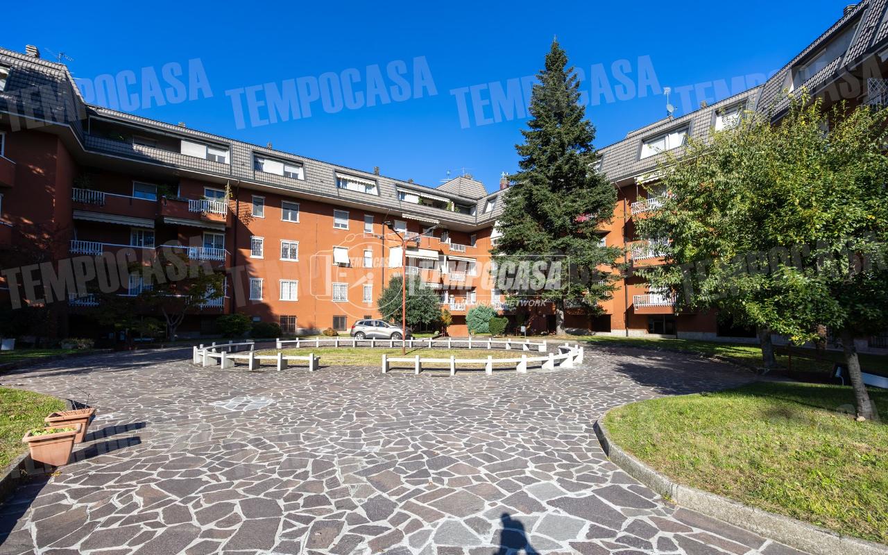 immagine annuncio 12 di 14