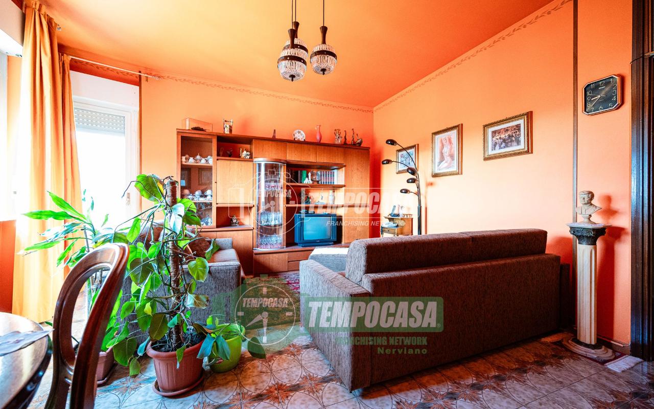 immagine annuncio 3 di 14