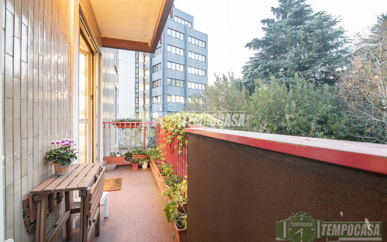 immagine annuncio 9 di 15