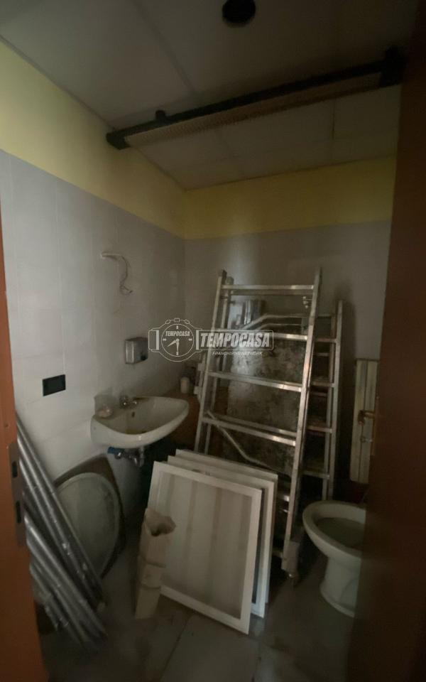 immagine annuncio 3 di 14