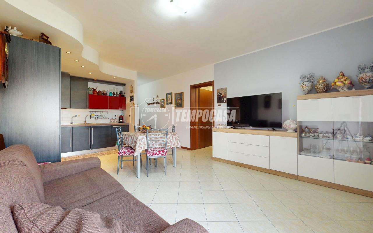 immagine annuncio 2 di 14