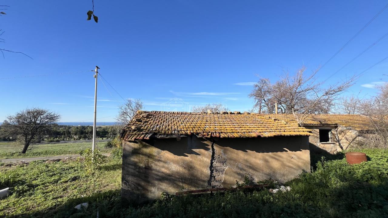 immagine annuncio 10 di 13
