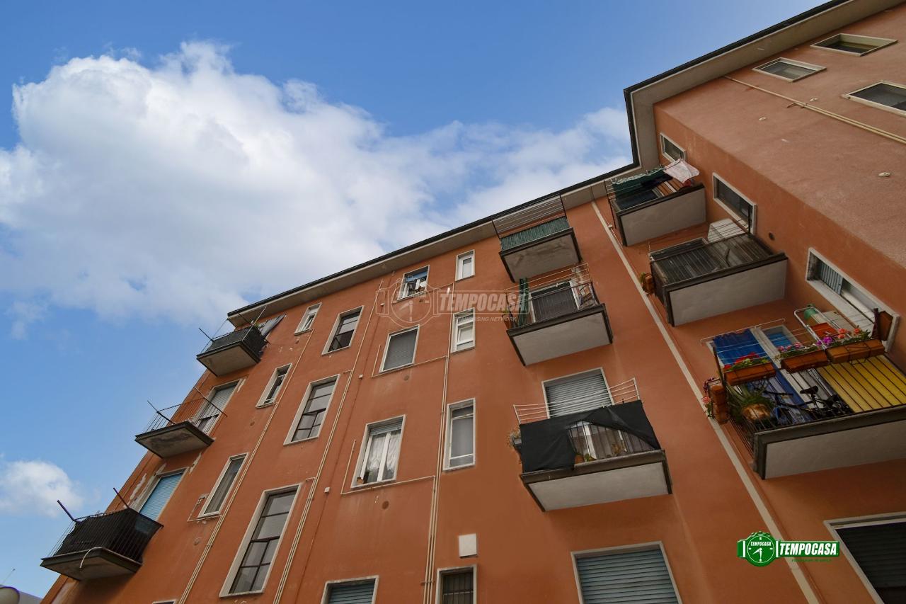 immagine annuncio 10 di 12