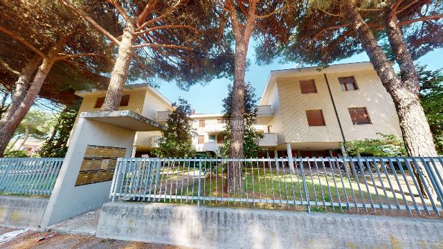 2-room flat in Via Pinarella 383/-385-387, Cervia - Photo 1