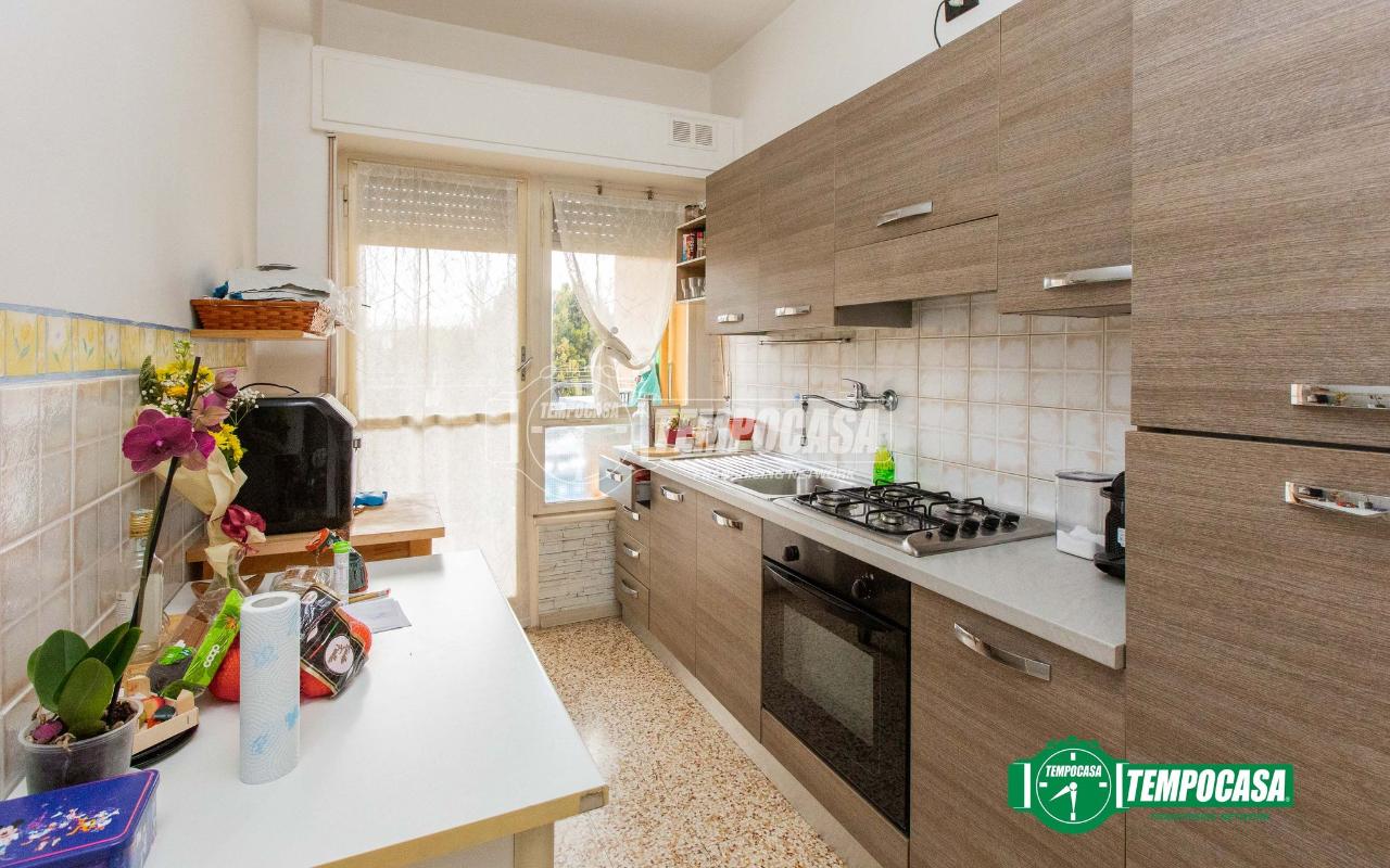 immagine annuncio 5 di 13