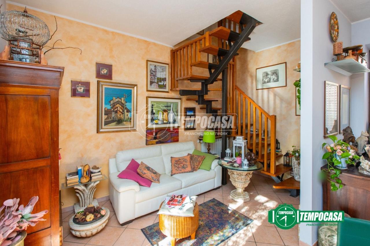 immagine annuncio 6 di 15