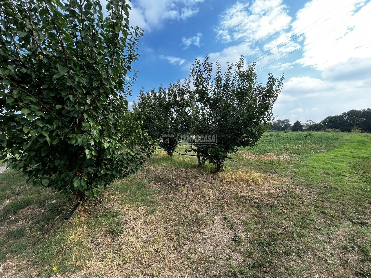 immagine annuncio 4 di 6