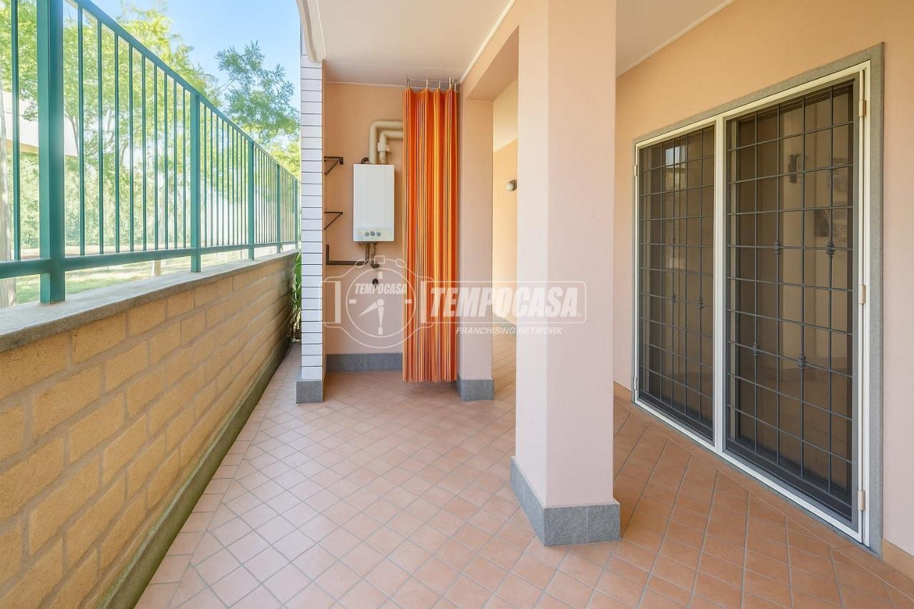 immagine annuncio 7 di 15