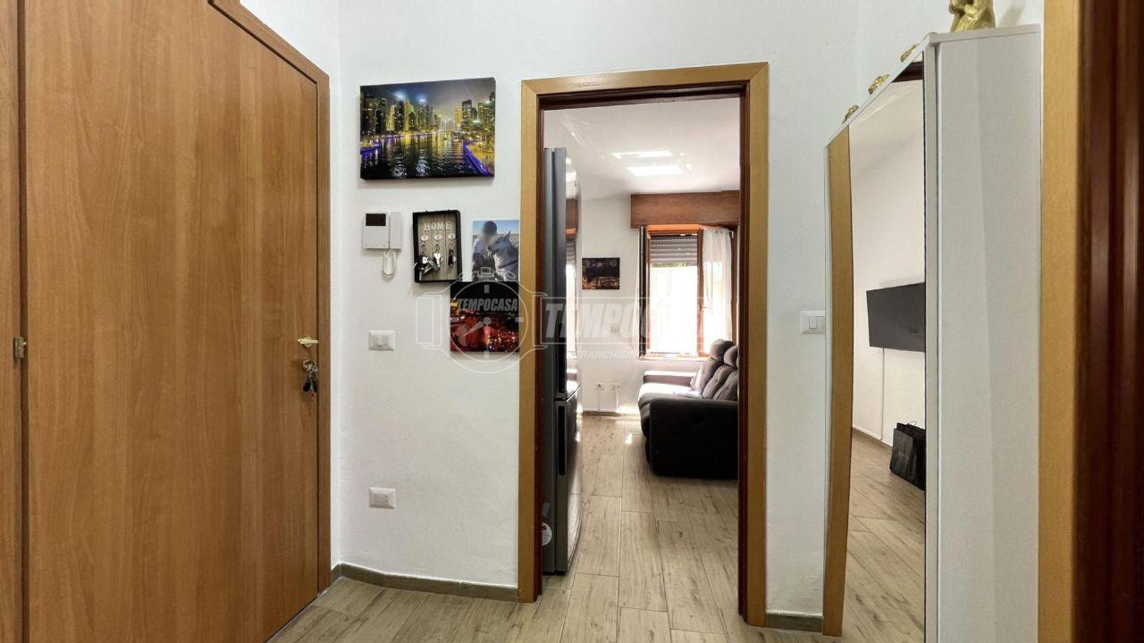 immagine annuncio 3 di 12