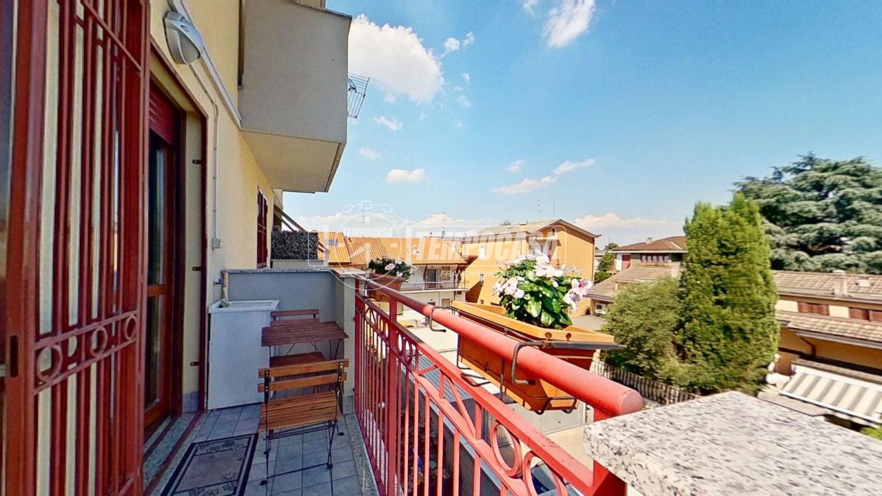 immagine annuncio 12 di 15