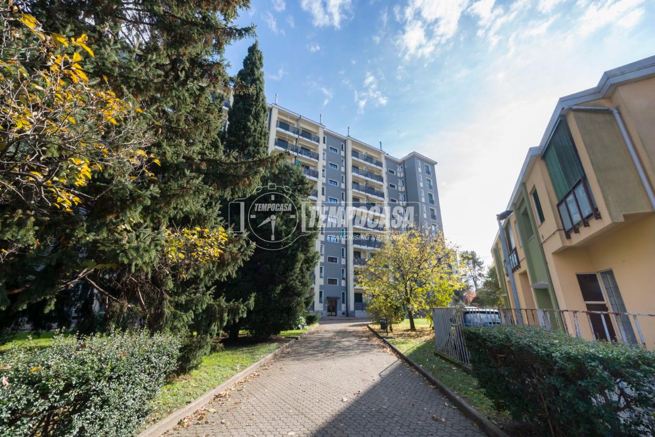 immagine annuncio 3 di 13