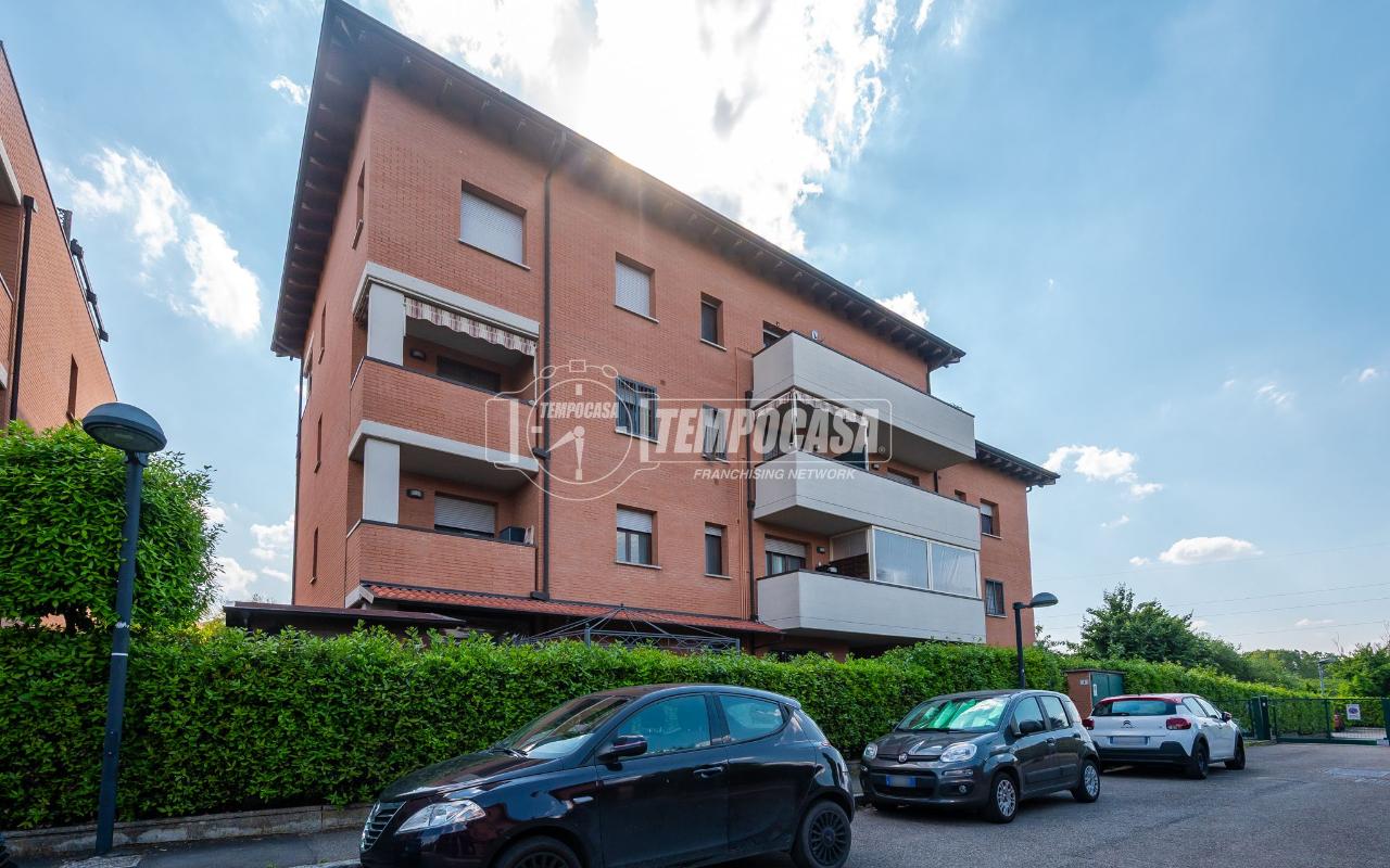 immagine annuncio 3 di 15