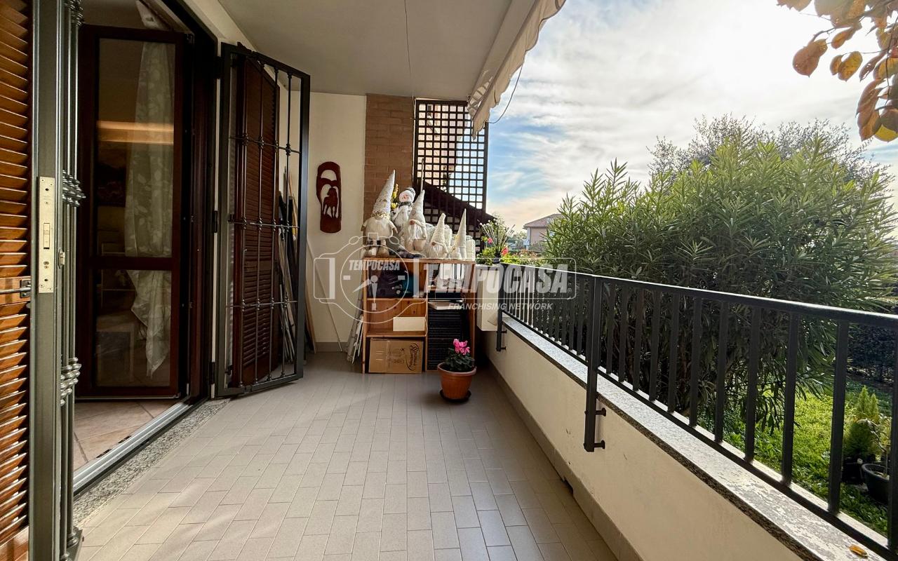 immagine annuncio 11 di 15