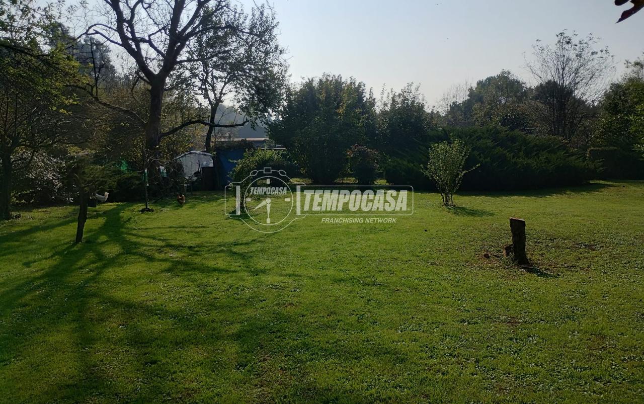 immagine annuncio 5 di 14