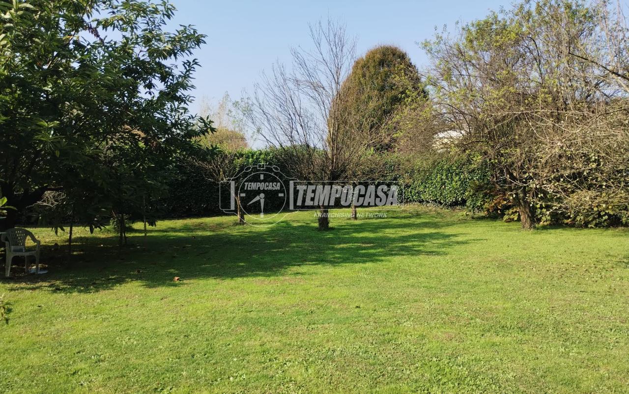 immagine annuncio 7 di 14