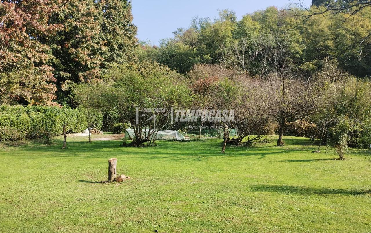 immagine annuncio 4 di 14