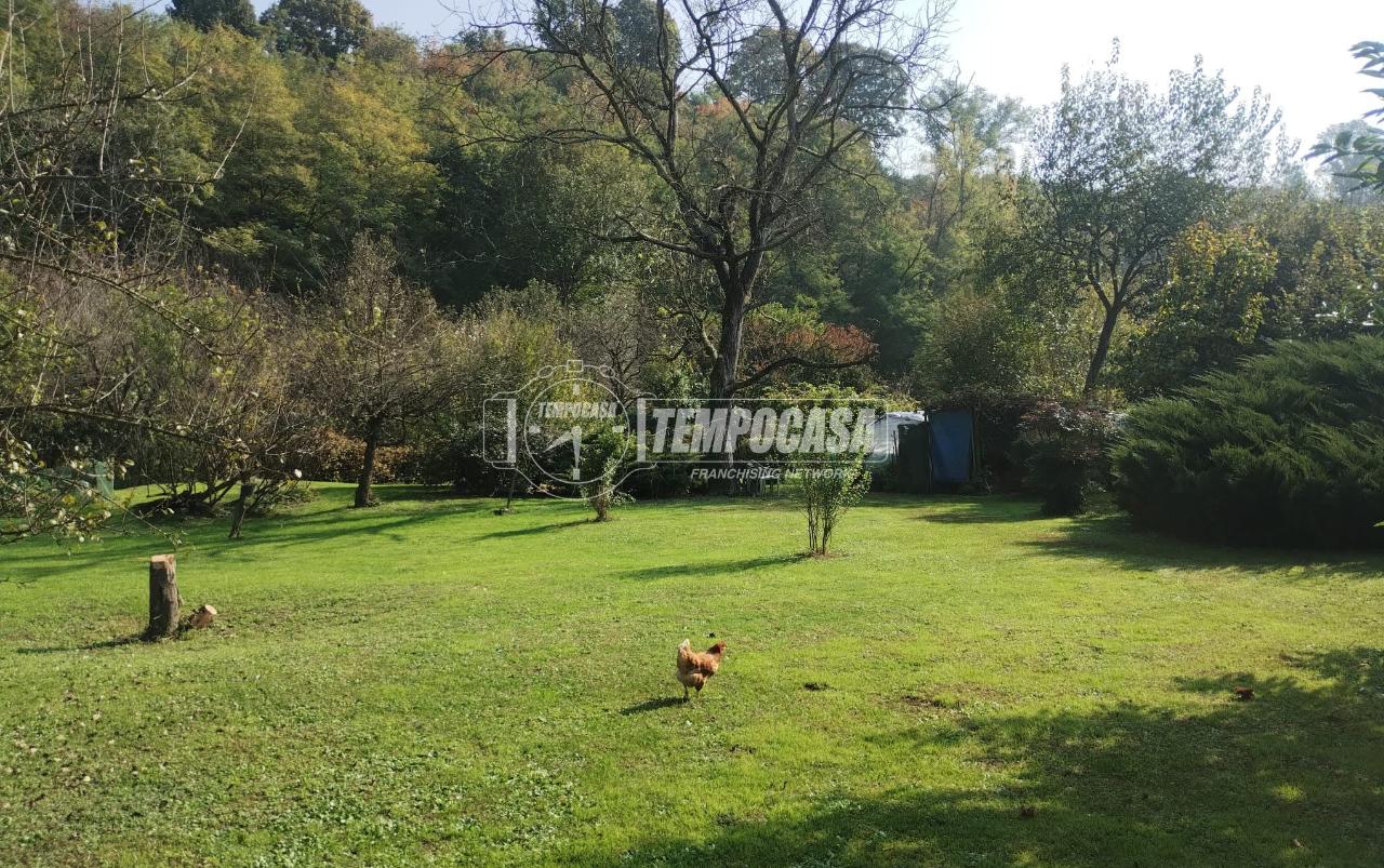 immagine annuncio 2 di 14