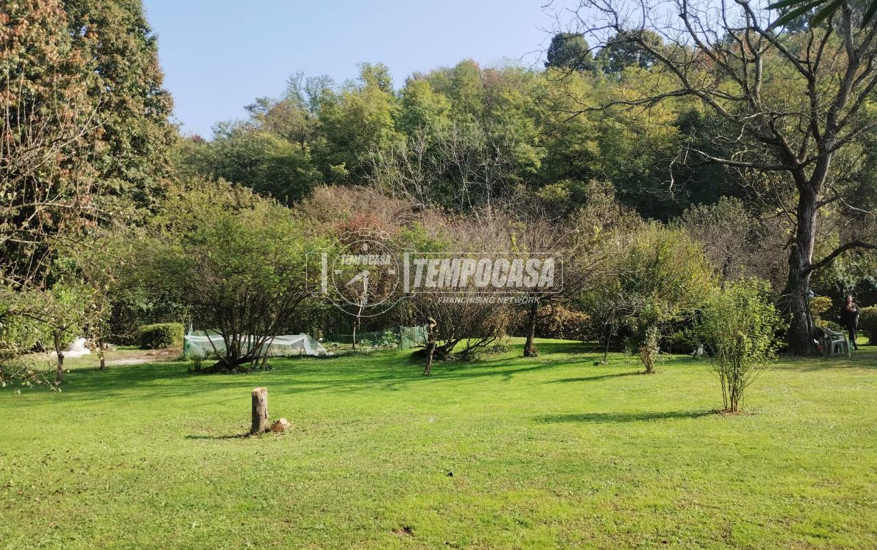 immagine annuncio 9 di 14