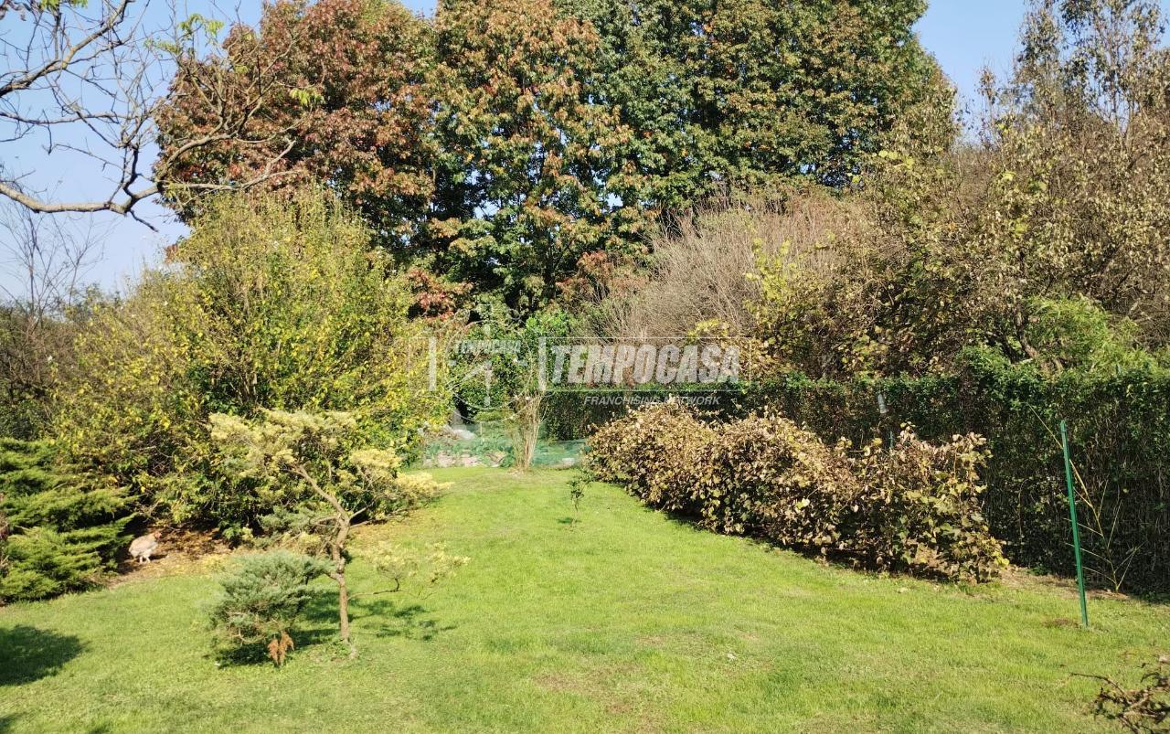 immagine annuncio 6 di 14