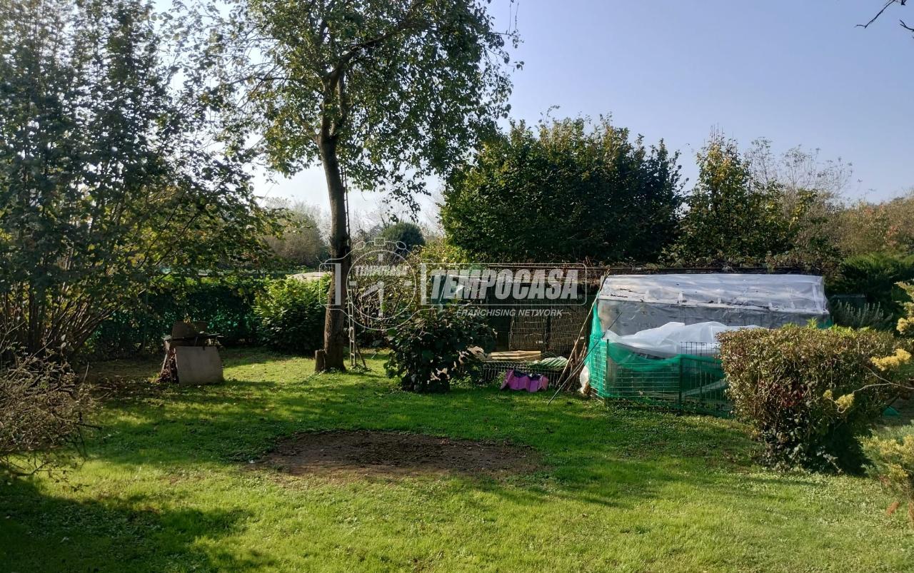 immagine annuncio 11 di 14