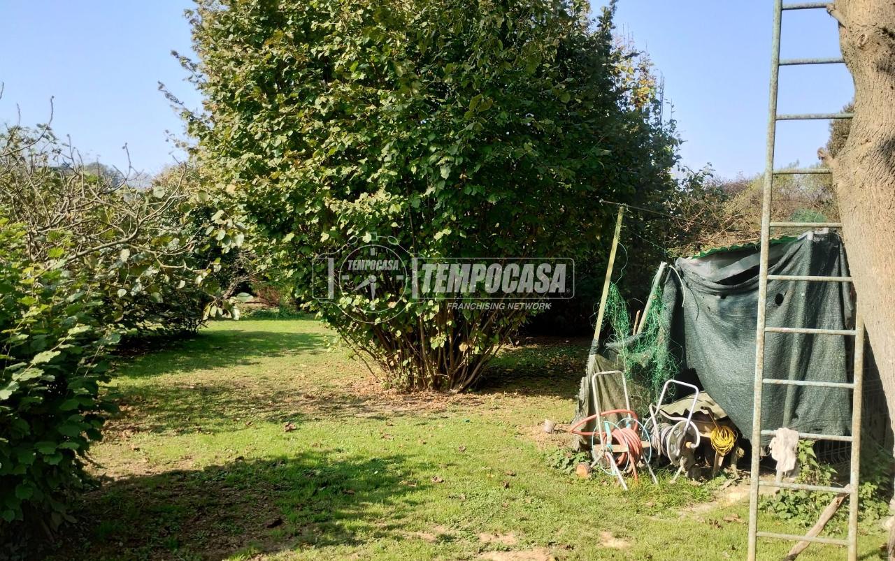 immagine annuncio 12 di 14