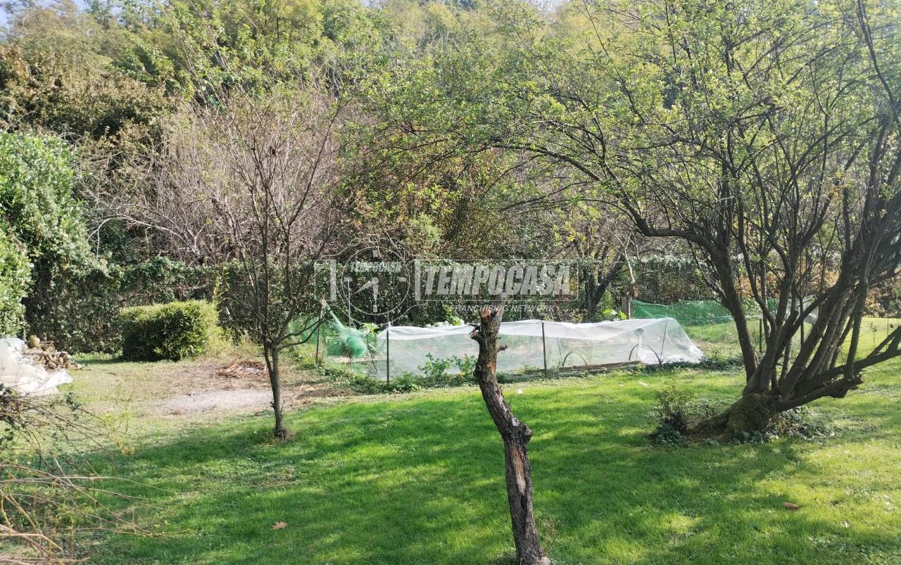 immagine annuncio 10 di 14