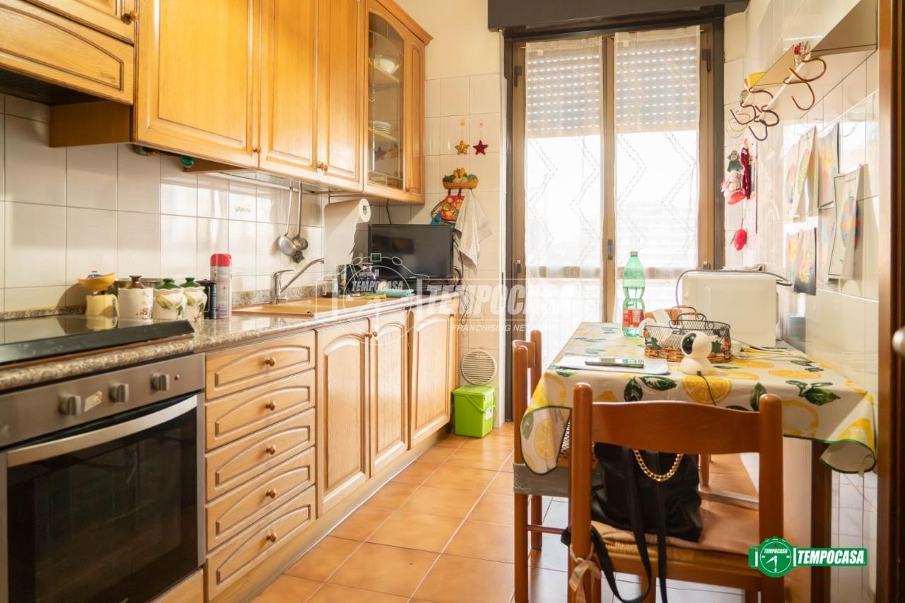 immagine annuncio 6 di 15