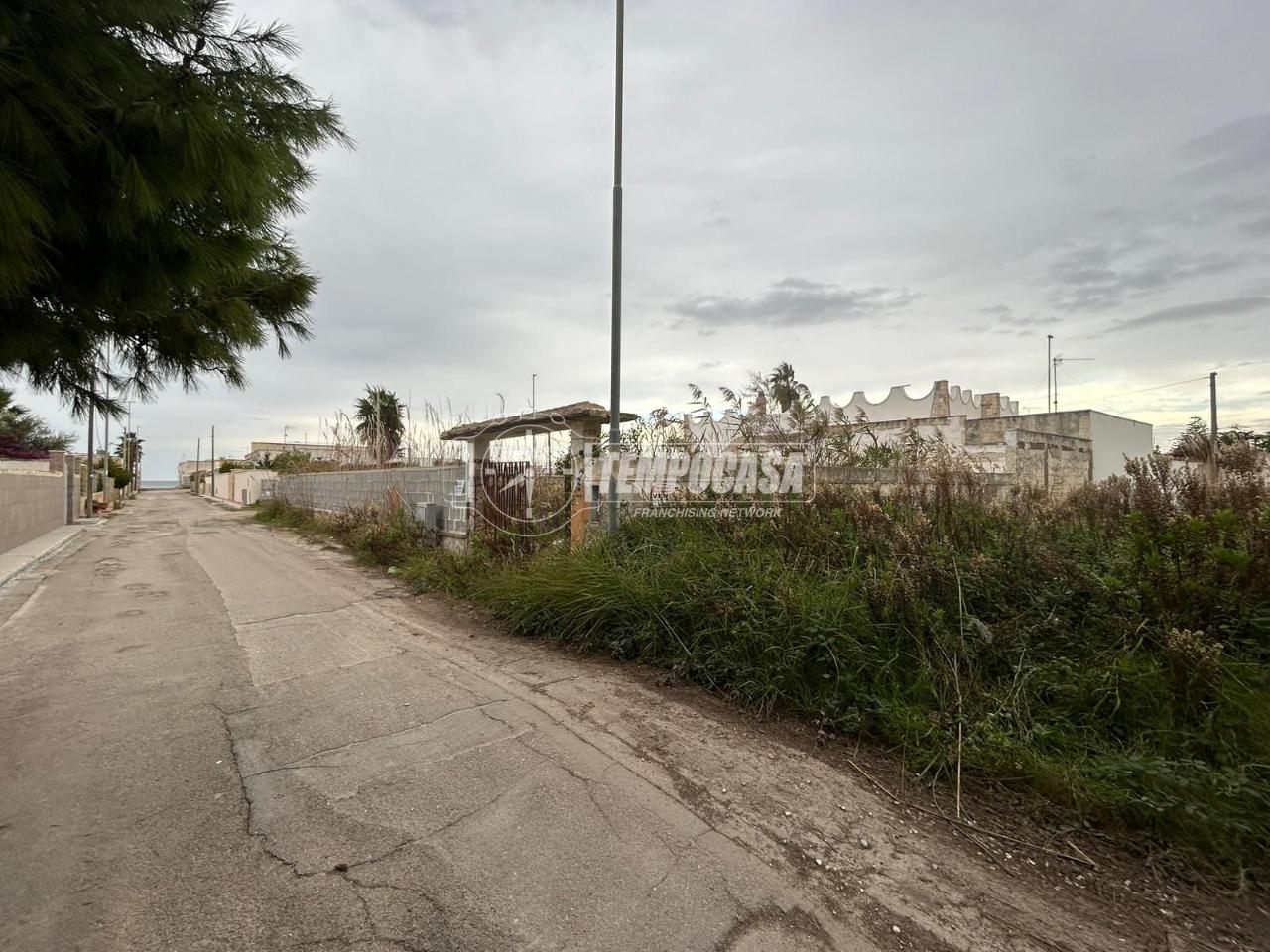 immagine annuncio 2 di 11