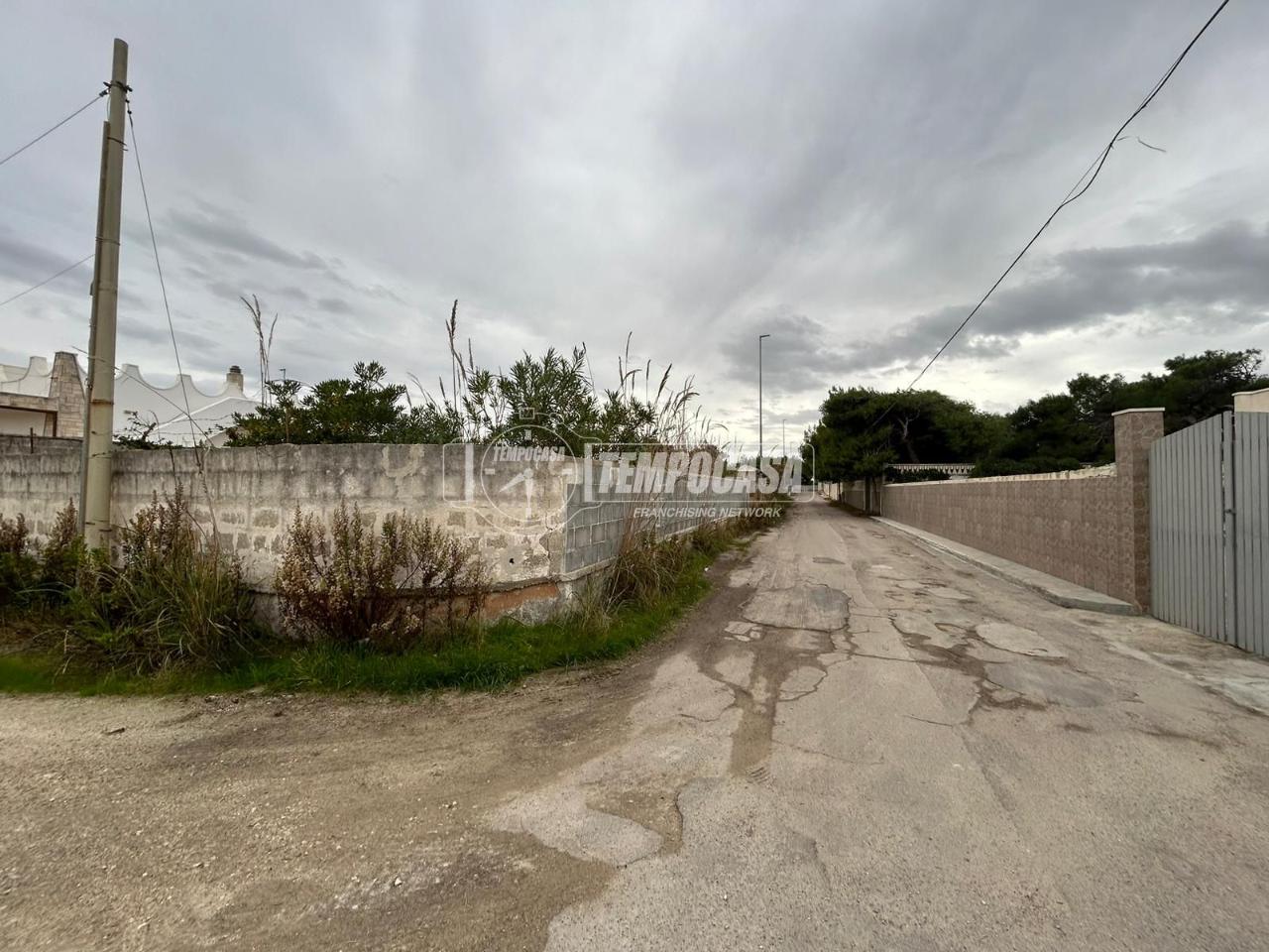 immagine annuncio 5 di 11