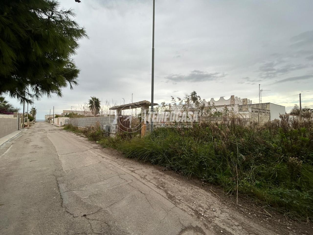 immagine annuncio 9 di 11