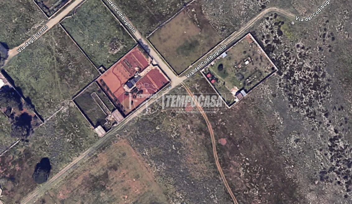 immagine annuncio 1 di 3