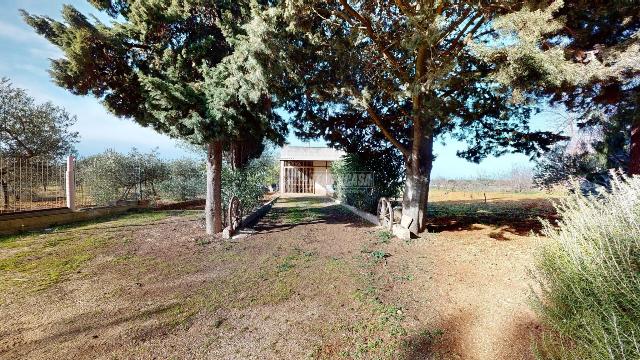 Warehouse in Viale Fabbrica dell'Alcol, Conversano - Photo 1