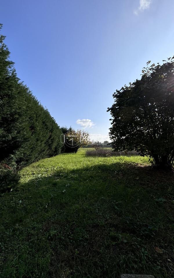 immagine annuncio 5 di 8